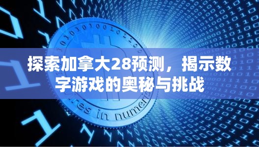 探索加拿大28预测，揭示数字游戏的奥秘与挑战