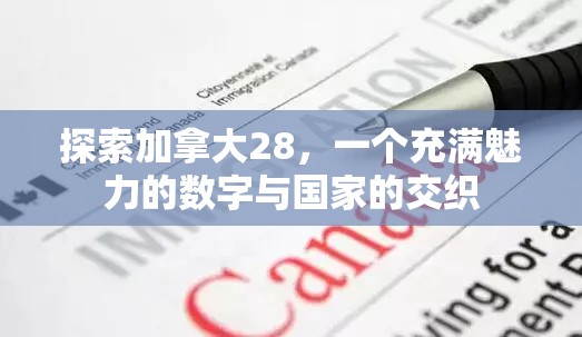 探索加拿大28，一个充满魅力的数字与国家的交织