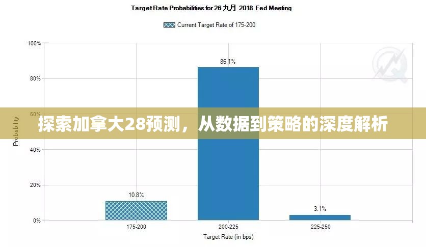 探索加拿大28，一个充满魅力的数字世界