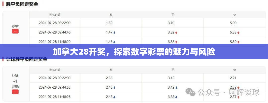 加拿大28开奖，探索数字彩票的魅力与风险