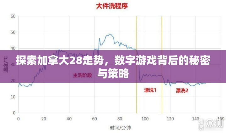 探索加拿大28走势，数字游戏背后的秘密与策略