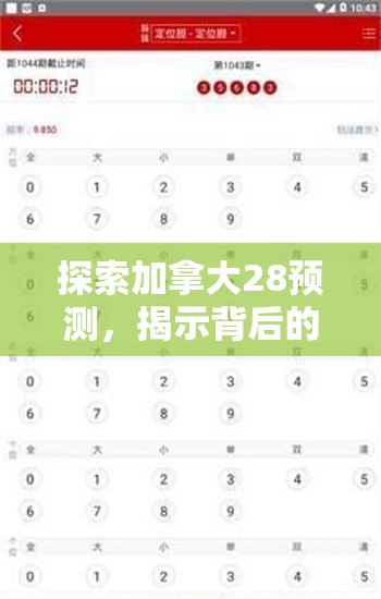 探索加拿大28预测，揭示背后的秘密与策略