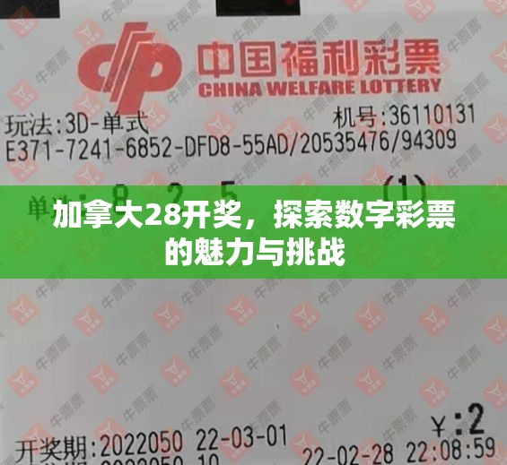 加拿大28开奖，探索数字彩票的魅力与挑战