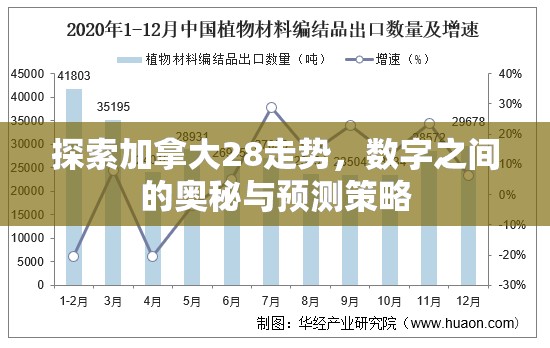 探索加拿大28走势，数字之间的奥秘与预测策略