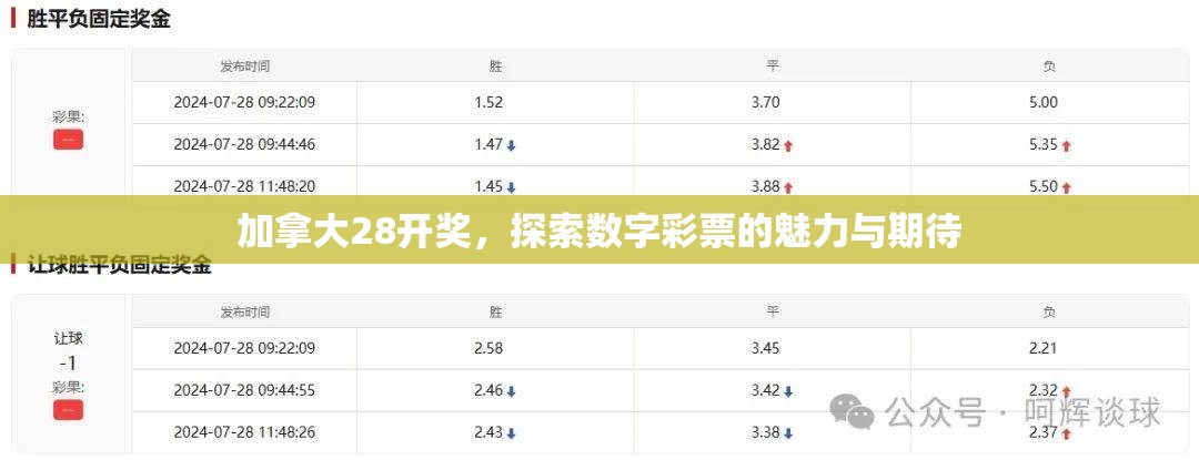 加拿大28开奖，探索数字彩票的魅力与期待