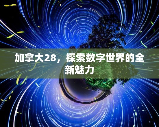 加拿大28，探索数字世界的全新魅力