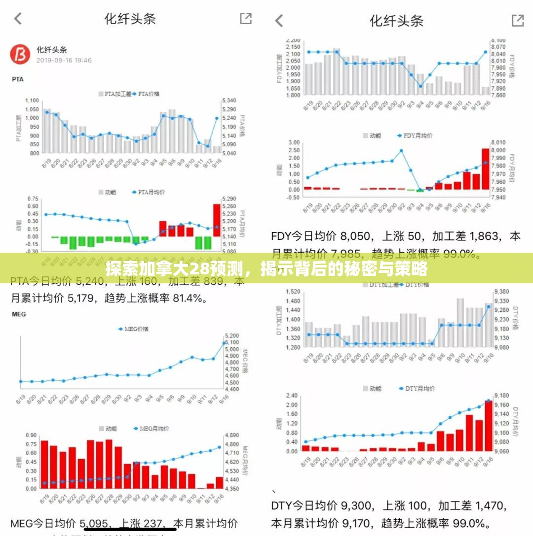 探索加拿大28的神秘魅力