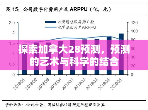 探索加拿大28预测，预测的艺术与科学的结合