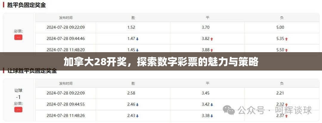 加拿大28开奖，探索数字彩票的魅力与策略