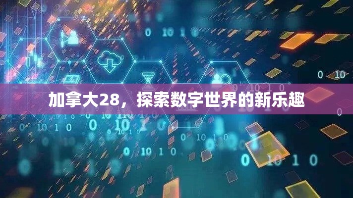 加拿大28，探索数字世界的新乐趣