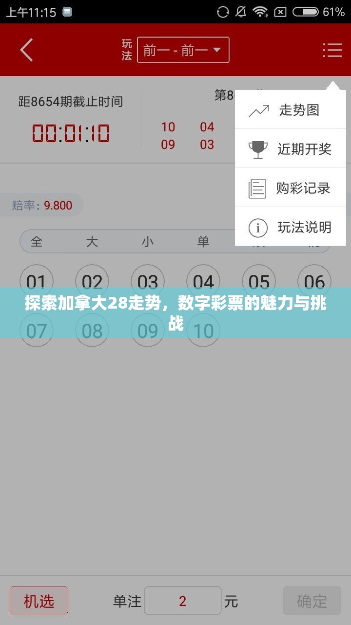 探索加拿大28走势，数字彩票的魅力与挑战