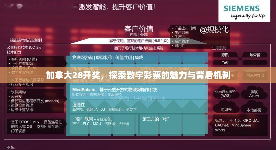 加拿大28开奖，探索数字彩票的魅力与背后机制