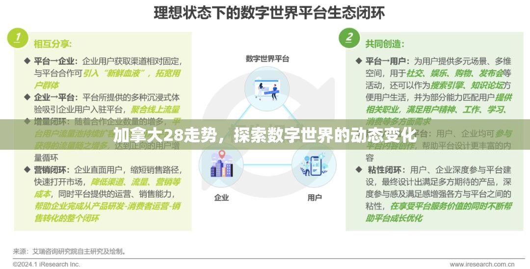 加拿大28走势，探索数字世界的动态变化