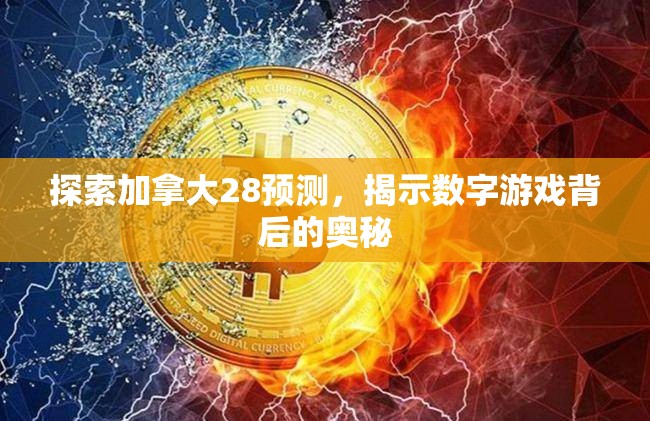 探索加拿大28预测，揭示数字游戏背后的奥秘