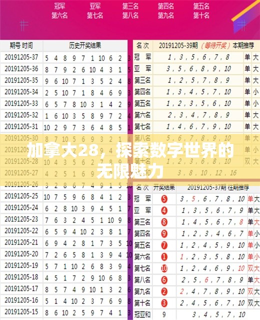 加拿大28，探索数字世界的无限魅力