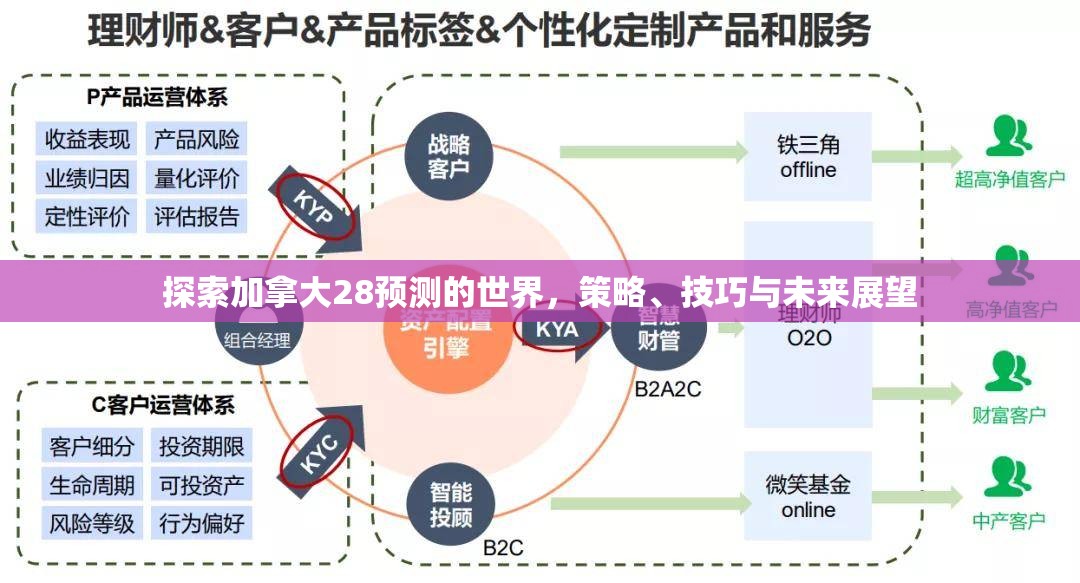 探索加拿大28预测的世界，策略、技巧与未来展望