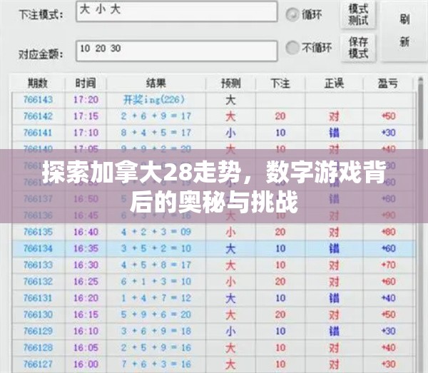 探索加拿大28走势，数字游戏背后的奥秘与挑战