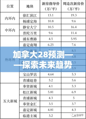 加拿大28预测——探索未来趋势与机遇