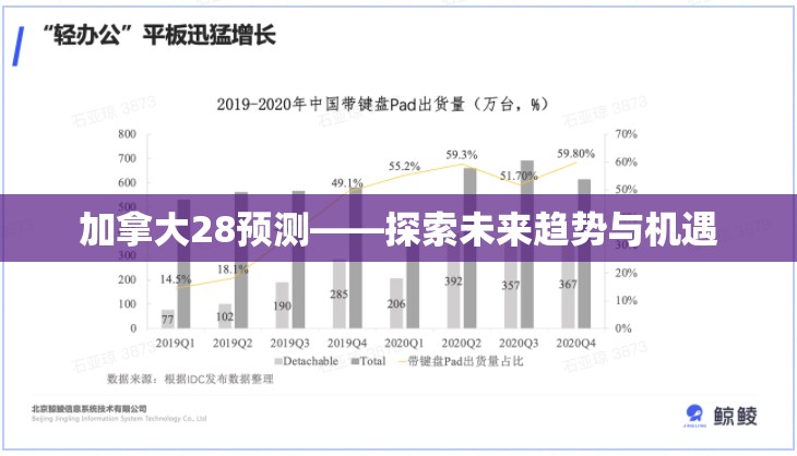 加拿大28预测——探索未来趋势与机遇