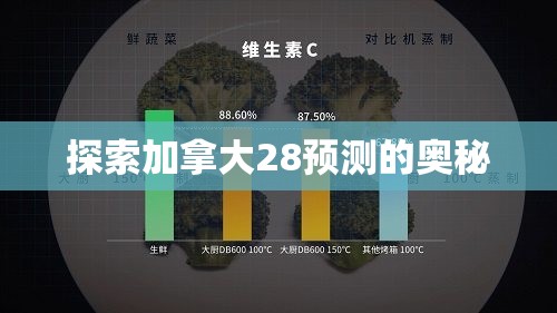 探索加拿大28预测的奥秘