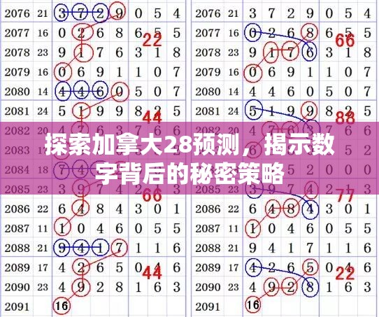 探索加拿大28预测，揭示数字背后的秘密策略