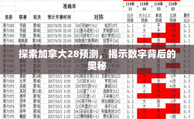 探索加拿大28预测，揭示数字背后的奥秘