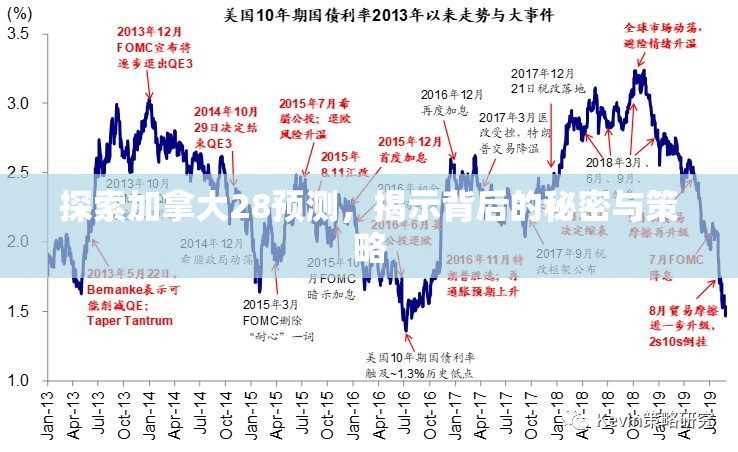 探索加拿大28预测，揭示背后的秘密与策略