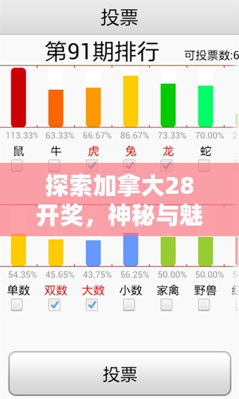 探索加拿大28开奖，神秘与魅力的交汇点