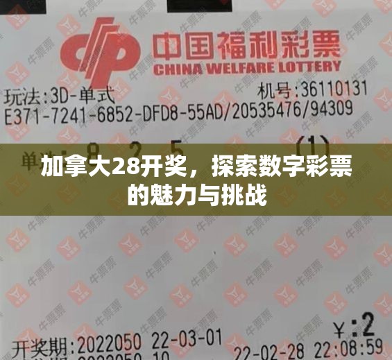 加拿大28开奖，探索数字彩票的魅力与挑战