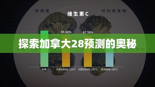 探索加拿大28预测的奥秘