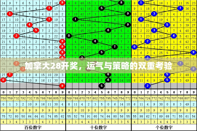 加拿大28开奖，运气与策略的双重考验