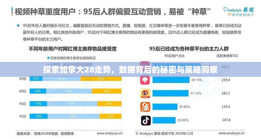 探索加拿大28走势，数据背后的秘密与策略洞察