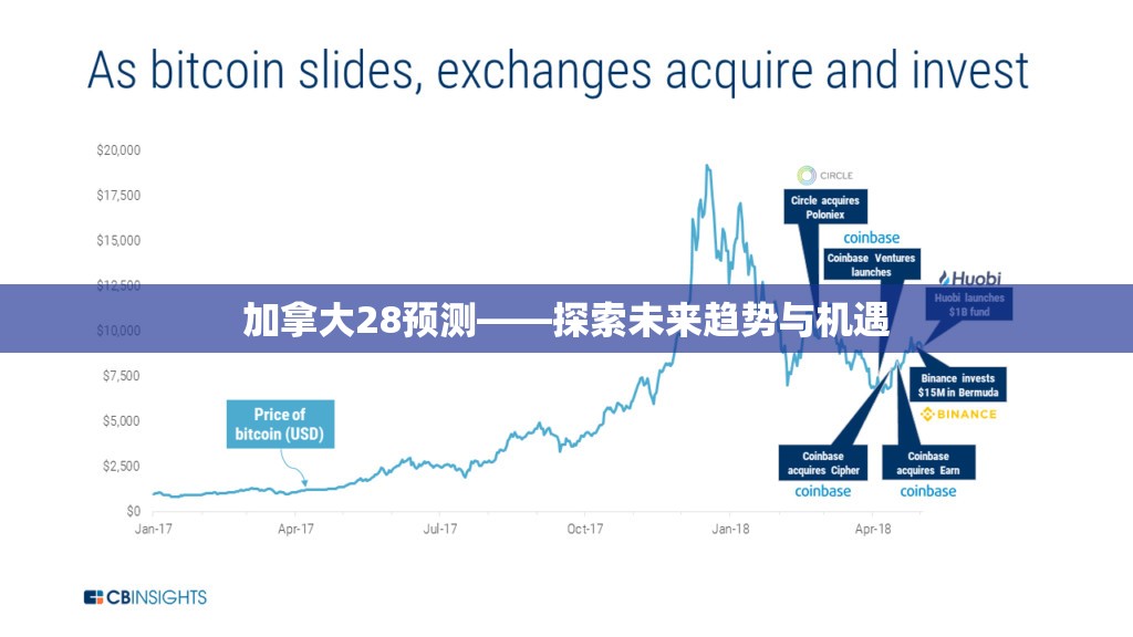 加拿大28预测——探索未来趋势与机遇