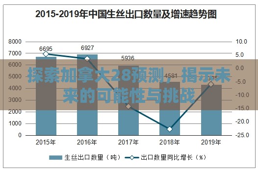 探索加拿大28预测，揭示未来的可能性与挑战