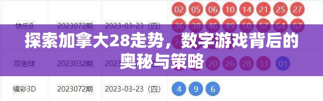 探索加拿大28走势，数字游戏背后的奥秘与策略