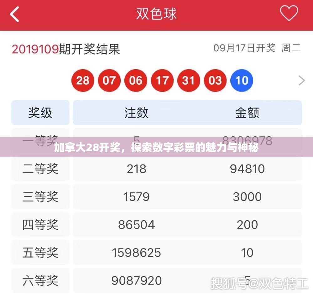 加拿大28开奖，探索数字彩票的魅力与神秘