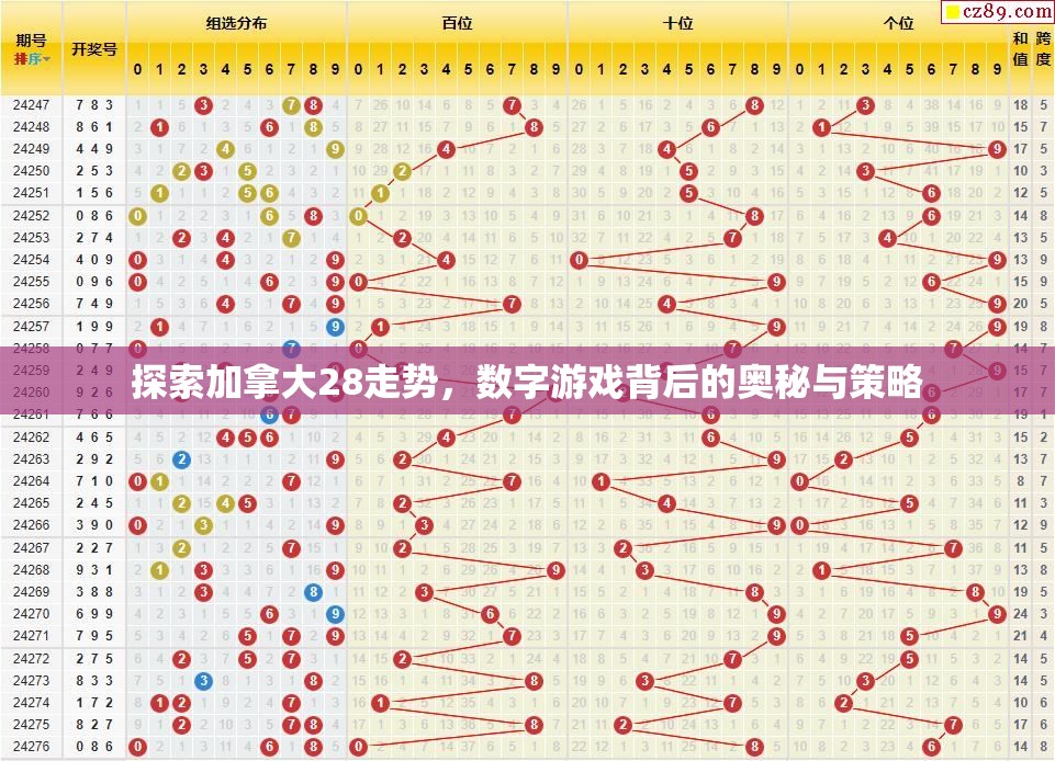 探索加拿大28，一个数字游戏的魅力与策略