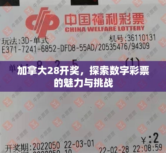 加拿大28开奖，探索数字彩票的魅力与挑战