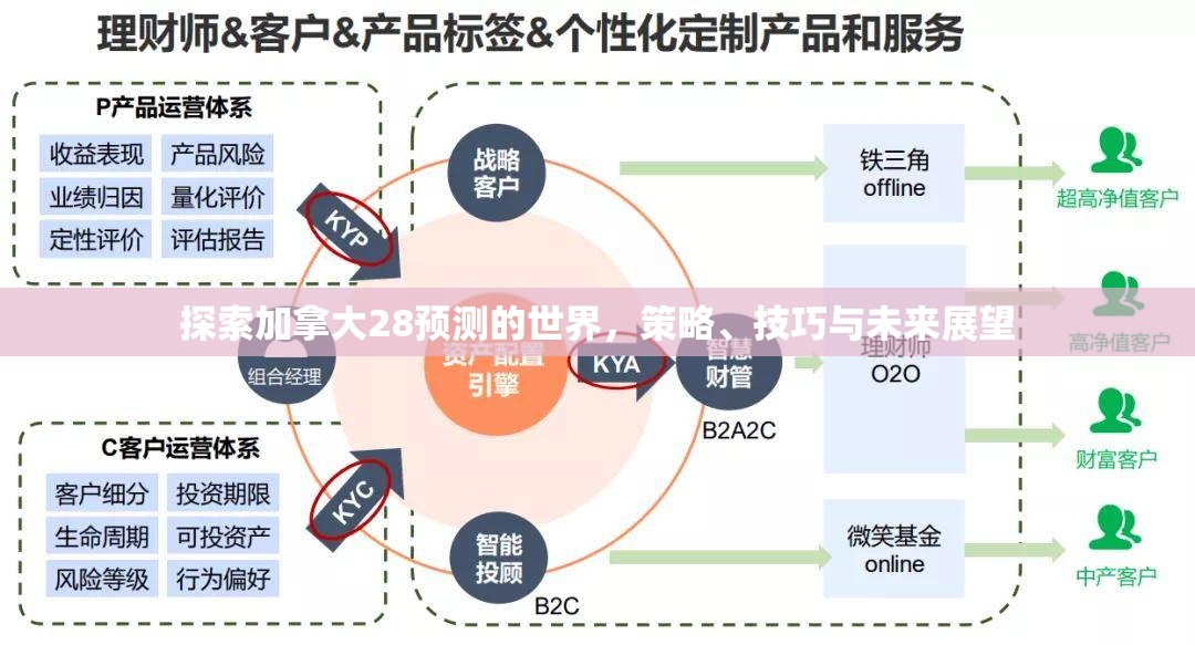 探索加拿大28预测的世界，策略、技巧与未来展望