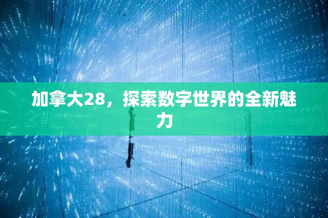 加拿大28，探索数字世界的全新魅力