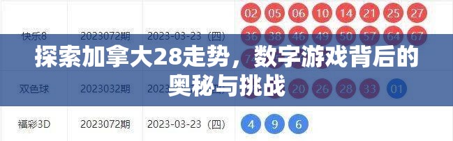 探索加拿大28走势，数字游戏背后的奥秘与挑战