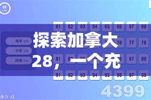 加拿大28开奖，魅力与神秘的游戏盛宴