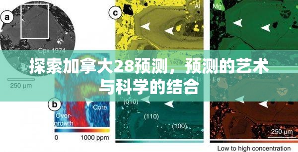 探索加拿大28预测，预测的艺术与科学的结合