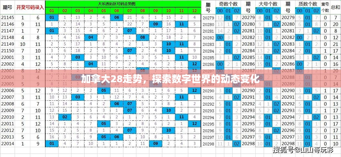 加拿大28走势，探索数字世界的动态变化