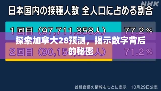 探索加拿大28预测，揭示数字背后的秘密