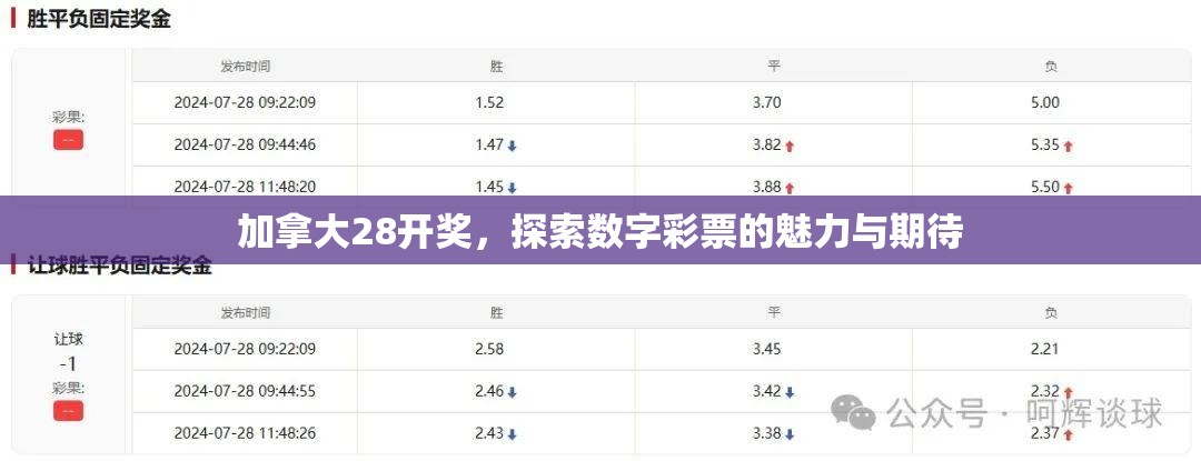 加拿大28开奖，探索数字彩票的魅力与期待