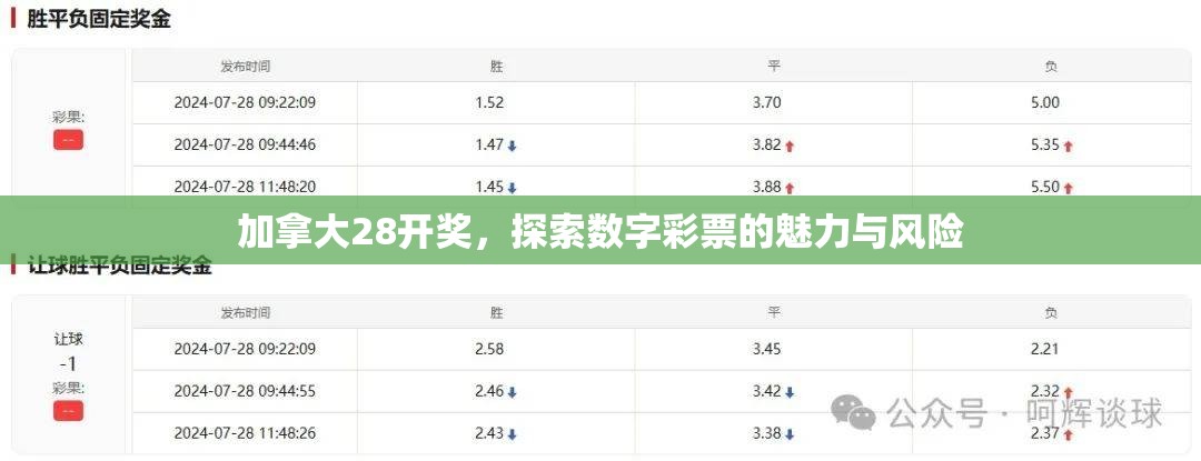 探索加拿大28走势，数字游戏背后的规律与策略