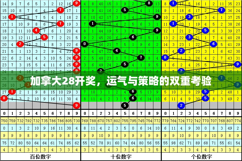 加拿大28开奖，运气与策略的双重考验