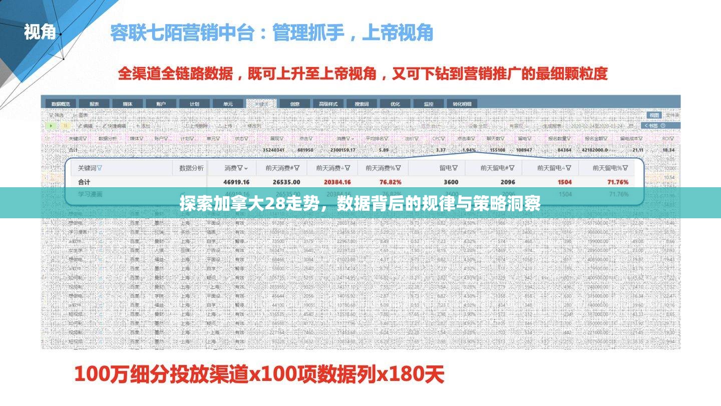 探索加拿大28走势，数据背后的规律与策略洞察