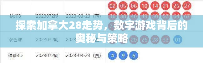 探索加拿大28预测，预测的艺术与科学的结合